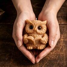 1pc 3D Reading Owl Silicone Mold For DIY Crafts - Detailed Wise Owl Holding Book And Candle Holder Mold, Resin/Soap/Plaster Mold, Teacher Gift, Back To School Decor, Asymmetrical Shape Suitable For Book-Shaped Candle Making And Soap Molding - Owl Reading Mold - View 2