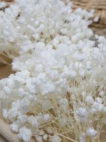 50/100/300pcs Artificial Mini Baby's Breath, Suitable For Wedding Floral Arrangement, Party Decoration, Birthday, Outdoor Garden Decor, Mother's Day Decor, Valentine's Day Decor, Gifts, Graduation Decoration - Bleaching - View 3