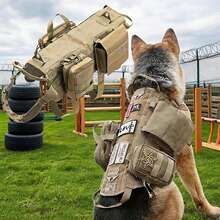 戰術狗胸背帶附口袋，可調節軍事風格背心胸背帶，適用於中大型犬，附魔鬼氈貼片，防拉重型狗胸背帶，適合散步、徒步旅行和訓練 - 彩色 - 查看 3