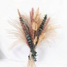 36/72pcs Bohemian Style Artificial Reed Grass Rabbit Tail Grass Home Decor Bouquet, Reed Eucalyptus Bouquet, Suitable For Wedding Floral Arrangement, Living Room Decoration - T009 - View 7