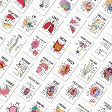 36/72pcs Human Anatomy Quick Reference Cards - Comprehensive Study Guide For Medical Professionals, Anatomy & Physiology Flashcards - Anatomy Learning Guide Reference Cards, For Exam Preparation And Visual Learning - 36Pcs - View 7