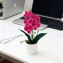 1件白色人造蝴蝶蘭盆栽植物，適合全年室內居家裝飾 - 彩色 - 查看 8