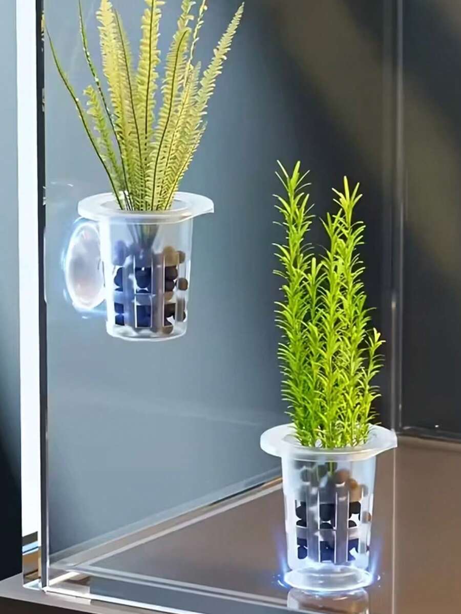 5pcs Transparent Plastic Aquarium Growth Cups With Suction Cup Base, PP Material, Perfect For Hydroponic Plants And Fish Tank Decoration