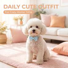 PINCOOL Collar con lazo a rayas y cascabel para cachorro, decoración de cuello para mascotas para uso en el hogar y diario - Celeste - Ver 3