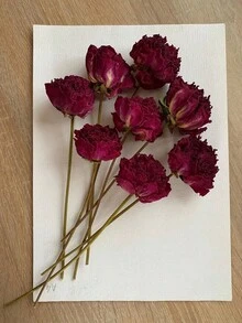 10/20/30/40pcs Artificial Rose Flower Heads, Micro Landscape Decoration, DIY, Gift Packaging Decoration - Red 1 - View 3