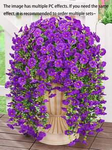 Morado