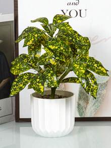 1 件装加厚塑料花盆室内桌面竖条纹绿植苗圃 - 白色 - 查看 8
