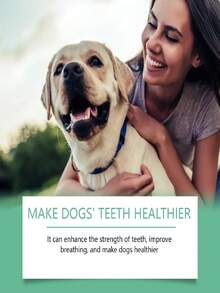Poudre de nettoyage dentaire pour chiens, formule douce pour l'haleine fraîche et les soins de santé bucco-dentaire. Cette poudre de nettoyage bucco-dentaire est spécialement conçue pour les chiens avec une formule de base douce. Mélangez-la simplement dans la nourriture de votre animal de compagnie pour l'alimentation quotidienne. Une utilisation régulière peut adoucir la plaque et les taches, soulager la mauvaise haleine et apaiser les conditions des gencives. - Voir 6