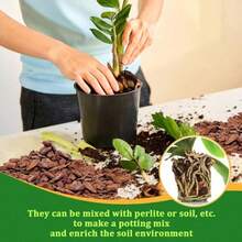 10oz Organic Orchid Potting Pine Bark, Universal Plant Mulch Cover, Suitable For Orchid Potting, Gardening And Lawn Care - Multiple Styles - View 2