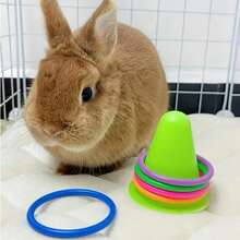 1 Set/2 Sets/3 Sets Interactive Rabbit Ring Toss Educational Toy, Durable Plastic Ice Cream Bucket With Colorful Ring Toys, Battery-Free Boredom Chewing & Venting Toy Suitable For Rabbits And Guinea Pigs (Ring Colors Sent Randomly, Due To Shooting Angle And Lighting Issues, There May Be Some Color Difference Between The Actual Product And The Image, Which Is Normal And Does Not Affect Use) - Multicolor - View 8