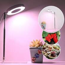 Full Spectrum LED Plant Grow Light, Indoor Plant Dedicated LED Grow Light, With 3-Level Timer Adjustment, Full Spectrum 9-Level Brightness, USB Powered, Perfect For Seedlings And Small Potted Plants, Indoor Plant Grow Light - Red and Blue Light - View 8