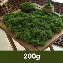 30/50/100/200g Césped artificial tipo alga, micro-césped verde, decoración de plantas para jarrón y alféizar de ventana, diseño de paisaje - multicolor - Ver 12