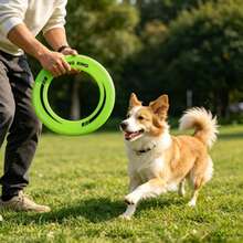 2pcs Hollow Flying Rings, Durable And Lightweight, Suitable For Outdoor Use Such As Beach, Park, Dog Walking And Other Scenes - Multicolor - View 4