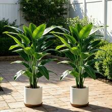 2pcs Artificial Banana Tree, Low Maintenance Plastic Decor, Suitable For Indoor And Outdoor Use. Perfect For Garden, Wedding, Home, Office, Ideal For Hawaiian Modern Nordic Or Tropical Theme Design. Suitable For Home, Office, Wedding, Party, Porch And Windowsill Decoration, No Maintenance, No Power Required, Indoor And Outdoor Decor, Modern Decor, Natural Appearance - Multicolor - View 8