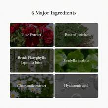 Dr. Althea DR Althea - قناع الوجه المهدئ والمرطب المكثف Oasis 5 قطع - إصدار 2023 - عناية مهدئة للبشرة - مشاهدة 4