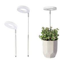 Full Spectrum LED Plant Grow Light, Indoor Plant Dedicated LED Grow Light, With 3-Level Timer Adjustment, Full Spectrum 9-Level Brightness, USB Powered, Perfect For Seedlings And Small Potted Plants, Indoor Plant Grow Light - Red and Blue Light - View 6