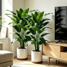 2pcs Artificial Banana Tree, Low Maintenance Plastic Decor, Suitable For Indoor And Outdoor Use. Perfect For Garden, Wedding, Home, Office, Ideal For Hawaiian Modern Nordic Or Tropical Theme Design. Suitable For Home, Office, Wedding, Party, Porch And Windowsill Decoration, No Maintenance, No Power Required, Indoor And Outdoor Decor, Modern Decor, Natural Appearance - Multicolor - View 2