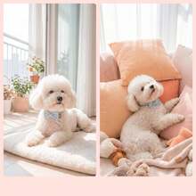 PINCOOL Collar con lazo a rayas y cascabel para cachorro, decoración de cuello para mascotas para uso en el hogar y diario - Celeste - Ver 6