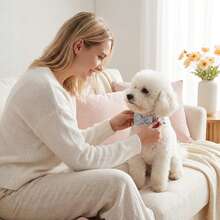 PINCOOL Collar con lazo a rayas y cascabel para cachorro, decoración de cuello para mascotas para uso en el hogar y diario - Celeste - Ver 7