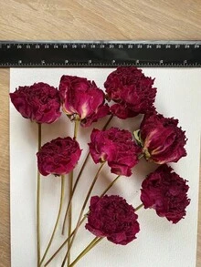 10/20/30/40pcs Artificial Rose Flower Heads, Micro Landscape Decoration, DIY, Gift Packaging Decoration - Red 1 - View 4