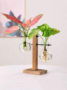 1件木製花瓶，含水培植物，透明木框花瓶，吊掛式花瓶，適用於書桌、居家裝飾、房間佈置等 - 多色 - 查看 7