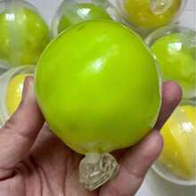 1pc Fruit Crispy Squeeze Toy | Soft Stress Relief Toy, Affordable And Durable Squeeze Toy, Crispy Texture Venting Tool, Adult Sensory Anxiety Relief Slow Rebound Squeeze Toy | Birthday Party, Mother's Day, Father's Day Gift, Adult Fun Desk Decor, Home Leisure Stress Relief Item - Multicolor - View 9