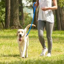 PVC Material Dog Leash Suitable For Training And Walking, Waterproof, Odor-Resistant, Rust-Proof, Stain-Resistant, Easy To Clean, 4 Colors Available, Durable And Sturdy, Comfortable Grip, For Small, Medium And Large Dogs - Blue - View 7
