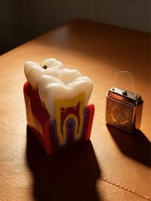 1pc Dental Anatomy Model Desktop Decor, Dental Science Education Ornament, Home & Office Decoration - A - View 3