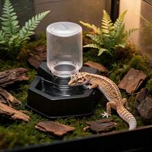 1pc Reptile Automatic Water Dispenser, Self Replenishing Water Bowl, Terrarium Water Feeder For Leopard Gecko, Lizard, Snake, Turtle, Amphibian Reptile Tank Accessories - Style A - View 11