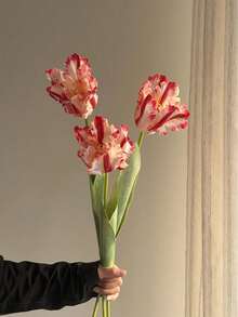 1Pc Artificial Parrot Tulip, 25 Inch Real Touch Silk Faux Tulip Flower Stem, Fake Flower For Vase Arrangement, Home Kitchen Wedding Bouquet Decor, Mother's Day Gift - Multicolor - View 3