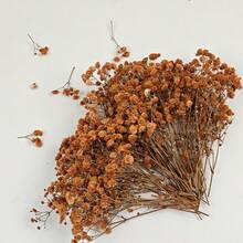 50/100pcs Artificial Baby's Breath DIY Materials, Hair Accessories, Wreaths, Resin Art, Home Office Party Decor - Perfect For Weddings, Hair Accessories, DIY Wreaths, Resin Art, Party Table Vases, Gardens, Offices, Home Decor, Bohemian Natural Style - Caramel Orange - View 12
