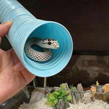 水族箱裝飾伸縮管、爬蟲類躲避隧道、可彎曲塑膠管隱蔽處，適用於蜥蜴、青蛙、倉鼠，理想的魚缸裝飾 - 彩色 - 查看 7