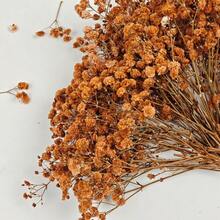50/100pcs Artificial Baby's Breath DIY Materials, Hair Accessories, Wreaths, Resin Art, Home Office Party Decor - Perfect For Weddings, Hair Accessories, DIY Wreaths, Resin Art, Party Table Vases, Gardens, Offices, Home Decor, Bohemian Natural Style - Caramel Orange - View 8