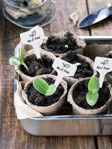 15pcs Wooden Garden Plant Labels, Minimalist Cartoon Plant Pattern, Suitable For Indoor/Outdoor Potted Plant Decoration, Reusable Markers, Gardening Enthusiasts Essential, Holiday Gift, Home Decor - A - View 9