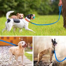 PVC Material Dog Leash Suitable For Training And Walking, Waterproof, Odor-Resistant, Rust-Proof, Stain-Resistant, Easy To Clean, 4 Colors Available, Durable And Sturdy, Comfortable Grip, For Small, Medium And Large Dogs - Blue - View 8