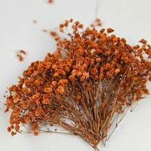 50/100pcs Artificial Baby's Breath DIY Materials, Hair Accessories, Wreaths, Resin Art, Home Office Party Decor - Perfect For Weddings, Hair Accessories, DIY Wreaths, Resin Art, Party Table Vases, Gardens, Offices, Home Decor, Bohemian Natural Style - Caramel Orange - View 3