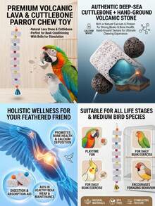 PETSIN 1pc Multi-Color Parrot Beak Grinding Calcium Stone With Bell Cage Toy, Floral Hanging Style Chew Toy, Suitable For Cockatiel, Lovebird, Parakeet, Hamster, Rabbit - Multicolor - View 4