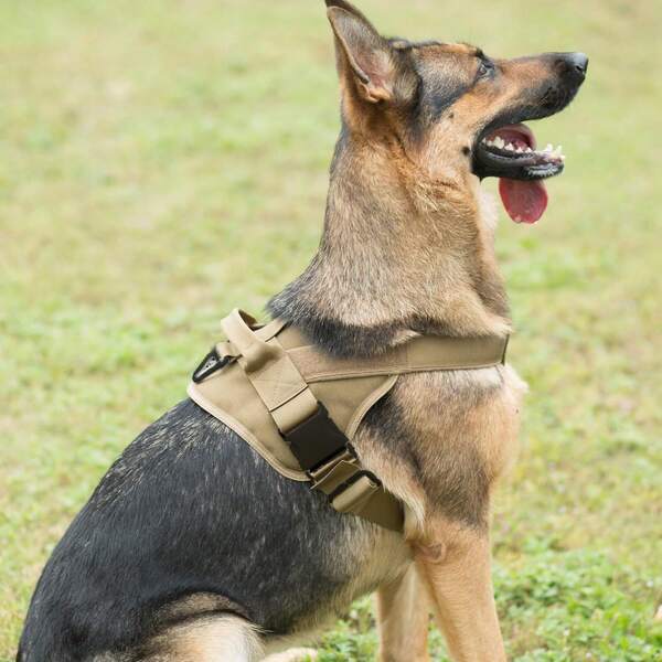 Tactical Dog Harness, Adjustable No-Pull Vest Harness With Molle Design, Heavy Duty Pet Training Harness For Medium Large Dogs, Outdoor Walking & Training