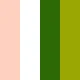 彩色