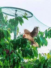 Garden Bird Netting, Heavy Duty Bird Netting For Protecting Fruits And Vegetables, Garden Fence Plant Netting, Chicken Netting, Poultry Netting, Garden Bird Netting For Protecting Vegetables, Plants And Fruits, Plastic Netting Suitable For Birds, Deer, Squirrels And Other Animals - Upgraded Version - View 2