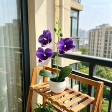 1pc Artificial Phalaenopsis Orchid Potted Plant, 11 Inch, 5 Exquisite Orchid Flowers, Suitable For Living Room, Entryway Or Desktop Decoration, Indoor/Outdoor Home Decor - Multicolor - View 9