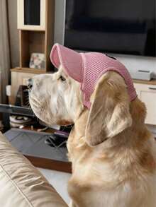 1PC Pet Sun Hat Breathable Mesh Dog Visor Cap For Small Medium Large Dogs Outdoor Sun Protection - Multicolor - View 10