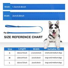 PVC Material Dog Leash Suitable For Training And Walking, Waterproof, Odor-Resistant, Rust-Proof, Stain-Resistant, Easy To Clean, 4 Colors Available, Durable And Sturdy, Comfortable Grip, For Small, Medium And Large Dogs - Blue - View 2