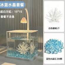 透明壓克力魚缸 冰晶景觀桌面創意鬥魚缸 水鑽全套景觀魚缸 USB線 方形金魚缸 - 查看 15
