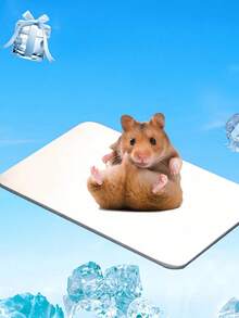 Aluminum Plate Pet Cooling Mat For Summer, Small Pet Hamster Heat Relief Cooling Pad, Suitable For Small Hamsters, Rabbits, Small Dogs, Cats, Effectively Cools Down, Summer Rabbit Laying Mat, Dog And Cat Cooling Product, Summer Pet Cooling Aluminum Plate - View 11