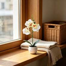 1pc Artificial Phalaenopsis Orchid Potted Plant, 11 Inch, 5 Exquisite Orchid Flowers, Suitable For Living Room, Entryway Or Desktop Decoration, Indoor/Outdoor Home Decor - Multicolor - View 7