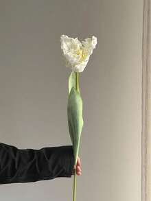 1Pc Artificial Parrot Tulip, 25 Inch Real Touch Silk Faux Tulip Flower Stem, Fake Flower For Vase Arrangement, Home Kitchen Wedding Bouquet Decor, Mother's Day Gift - Multicolor - View 10