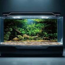 Aquarium Background Wallpaper Sticker - Underwater Jungle Scene, Tree Trunk Pattern - Self-Adhesive Fish Tank Decor, Fade-Resistant, Suitable For Freshwater/Saltwater Aquariums, Glass Containers, Office/Home Decor - Aquarium Landscaping, High-Quality Printing, Natural Style Design - A - View 1