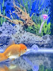 Glow-In-The-Dark Realistic Jellyfish With Colorful Tentacles Floating Fish Tank Decoration, Suitable For Freshwater And Saltwater Aquarium Fish Decor - A - View 6