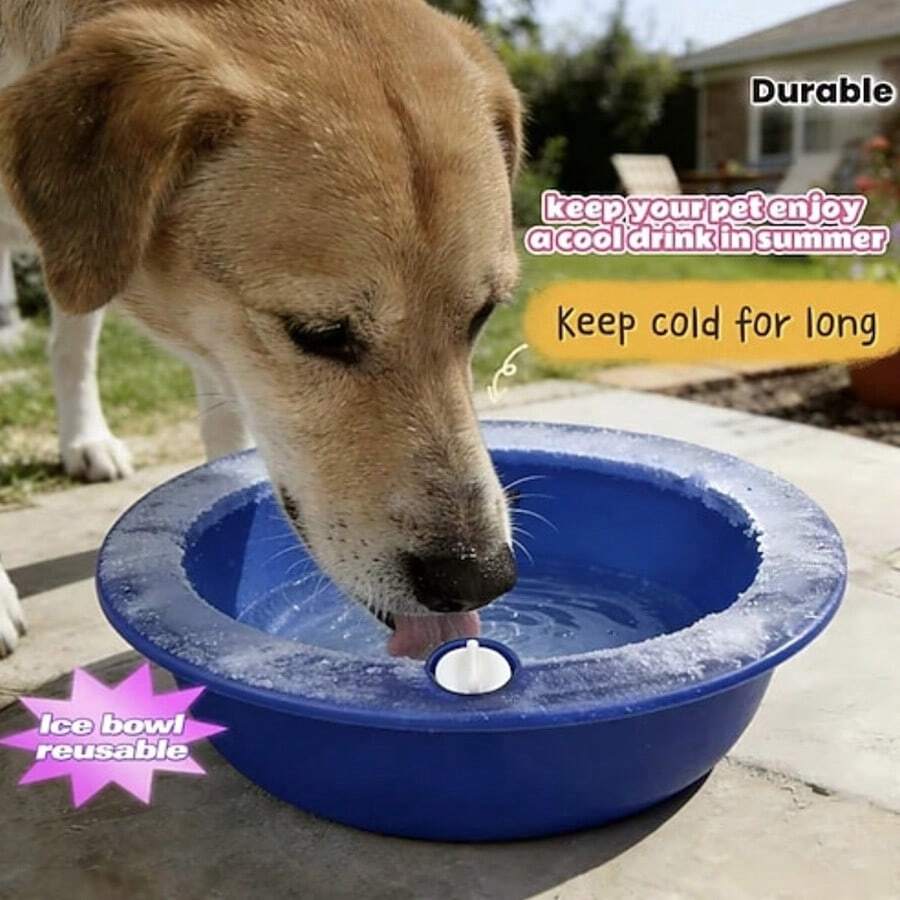 1pc Summer Cooling Pet Water Bowl, Refillable Freezable Reusable Ice Dog Bowl, Long-Lasting Cold Retention, Hydration Cooling Bowl Designed For All Dogs And Cats, Make Pets Love Drinking Water - 19cm*19cm*5.5cm - View 1